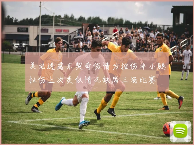 美记透露东契奇伤情为挫伤非小腿拉伤上次类似情况缺席三场比赛