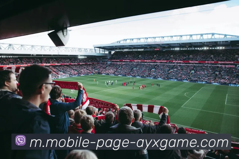 多媒体互动体验