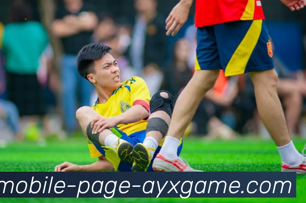 爱游戏APP 高清赛事图